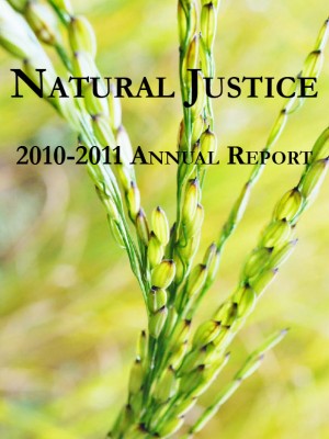 2010-annual-report