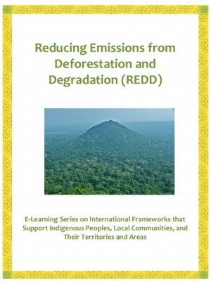 Reducing-Emissions-REDD