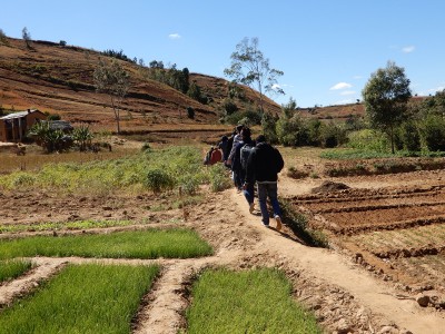 BCP_Madagascar_transect_08_2017