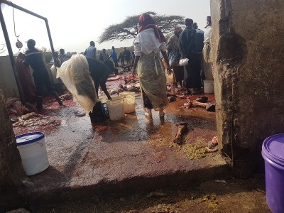 slaughterhouse_isiolo-eip