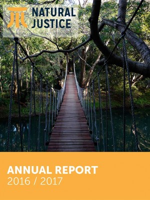 2016-2017-Annual-Report