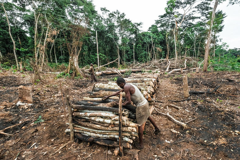 LA RDC VEND CE JOUR AUX ENCHERES  27 BLOCS PETROLIERS ET 3 BLOCS GAZIERS MALGRE LES RIQUES ENVIRONNEMENTAUX QUE POSENT CERTAINS. QU'EN CONCLURE ? Democratic-Republic-of-Congo-Logging_Photo-by-CIFOR